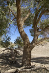 1M5A0875.jpg_