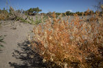 1M5A0878.jpg_