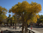 1M5A0881.jpg_