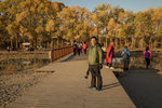 1M5A0095.jpg_