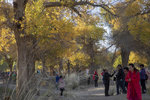 1M5A0134.jpg_