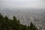 1M5A0296.jpg_