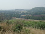 PA186349