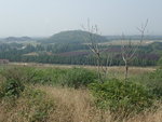 PA186350