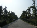 PA186359