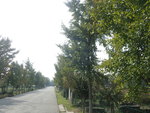 PA186362