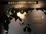 恐龍化石在世界和中國的分佈 PA206603