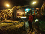 PA206618.jpg_