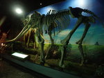 PA206625
