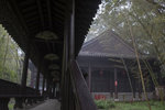 1M5A1516.jpg_