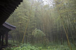 1M5A1519.jpg_