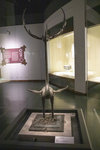 鹿角立鶴,戰國時期青銅器,1978年隨州曾侯乙墓出土,它是一種想像中的吉祥物.
1M5A0205.jpg_