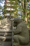 晉太元六年(公元381年),與佛圖澄,道安并稱"日,月,星"之稱的佛門楝梁--慧遠大師,南下羅浮傳法,途經潯陽,"見廬山閑矌,可以息心",遂駐足弘法.三年間徒屬眾廣.江州剌史桓伊肅然起敬,為之立寺.1M5A1581.jpg_