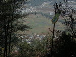 PA317871