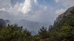 1227_1228.jpg花台