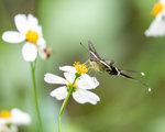 1M5A0580 - .jpg_