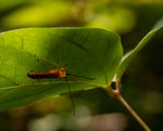1M5A0063.jpg_