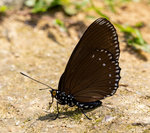 1M5A0098.jpg_