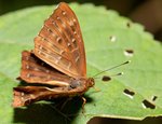 1M5A0104.jpg_