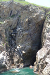 大浪石罅-裂縫至崖頂
P1040991