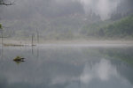 鏡海

DSC_0787