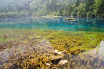 五花海湖底沉鈣華物質和藻類,並分布著水下沉木和水生植物,使水域之中呈現寶藍、藏青、澄黃、墨綠等水色區塊，如火焰流金的金秋彩葉,故得名五花海。



DSC_0999