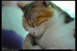 nEO_IMG_DSC00873_縮小大小
