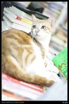 nEO_IMG_DSC00880_縮小大小