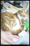 nEO_IMG_DSC00882_縮小大小