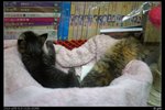 nEO_IMG_DSC00899_縮小大小