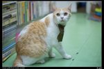 nEO_IMG_DSC00905_縮小大小