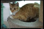 nEO_IMG_DSC00916_縮小大小