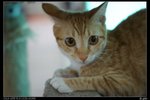 nEO_IMG_DSC00920_縮小大小