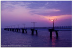 IMG_0017 copy