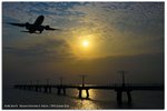 IMG_9924 copy