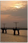 IMG_9951 copy