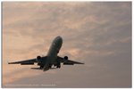 IMG_9964 copy