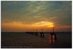 IMG_9995 copy