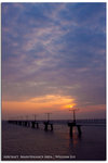 IMG_9996 copy