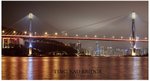 IMG_2920 copy