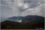 IMG_5017 copy