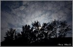 IMG_5037