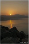 IMG_5110 copy