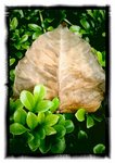 2011-04-12-12-55-01-002