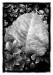 2011-04-12-12-55-25-884