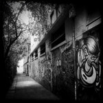 Alley with lot of Graffiti in b/w