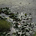 IMG_6847