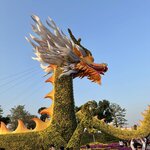 IMG_6968
