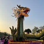 IMG_6970