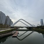 IMG_7193